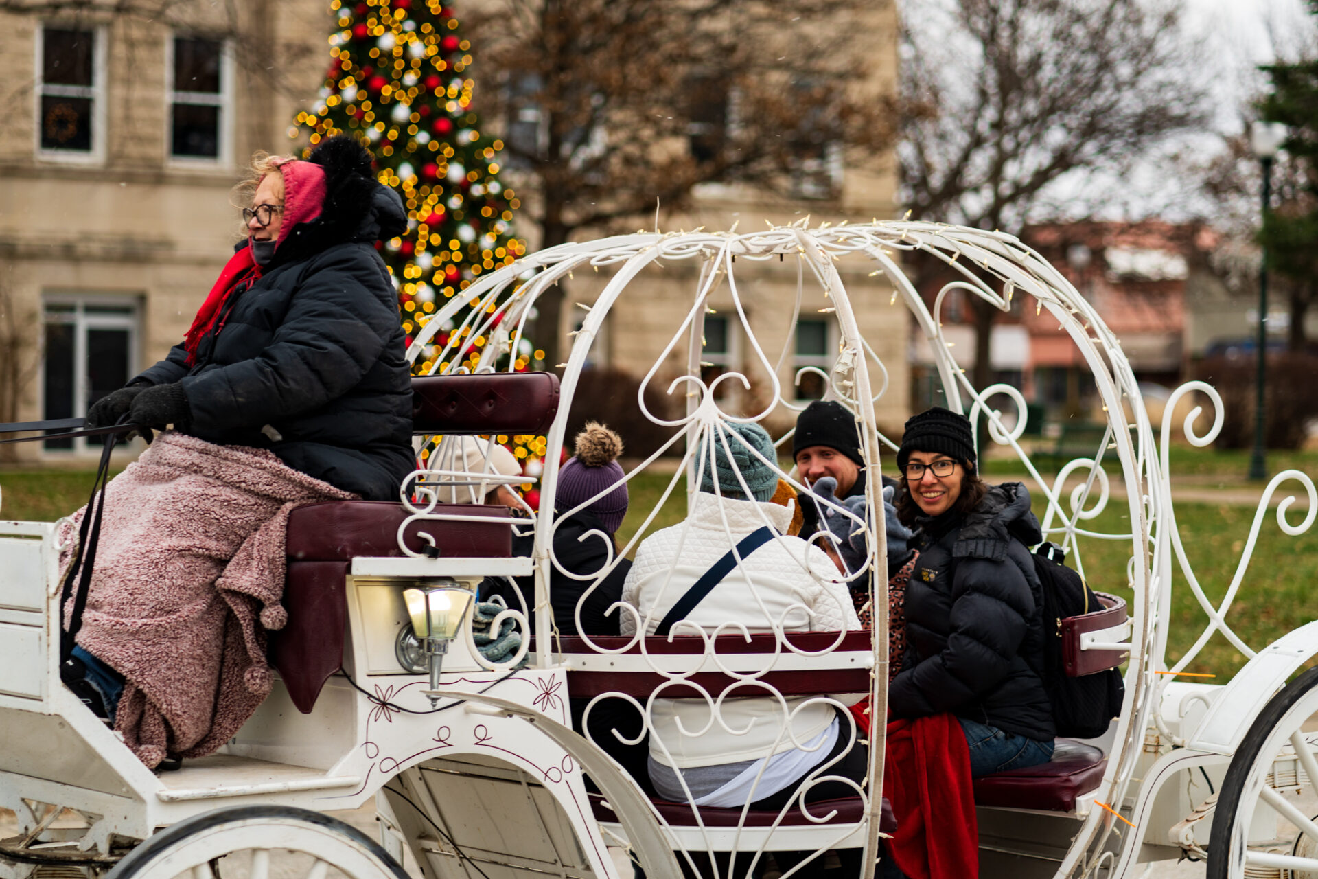Horse Drawn Carriage Rides during Holidays